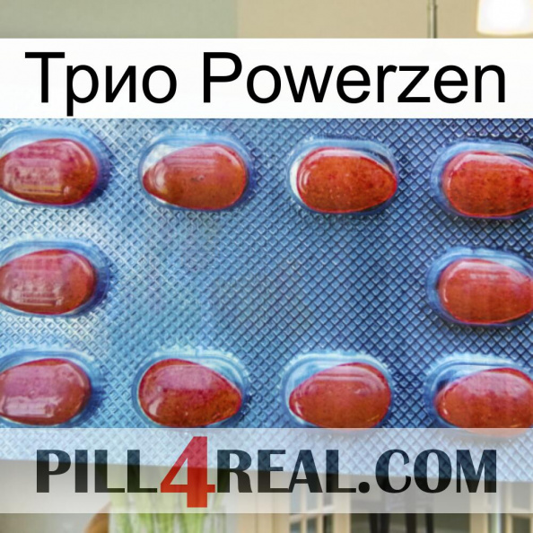 Трио Powerzen 06.jpg